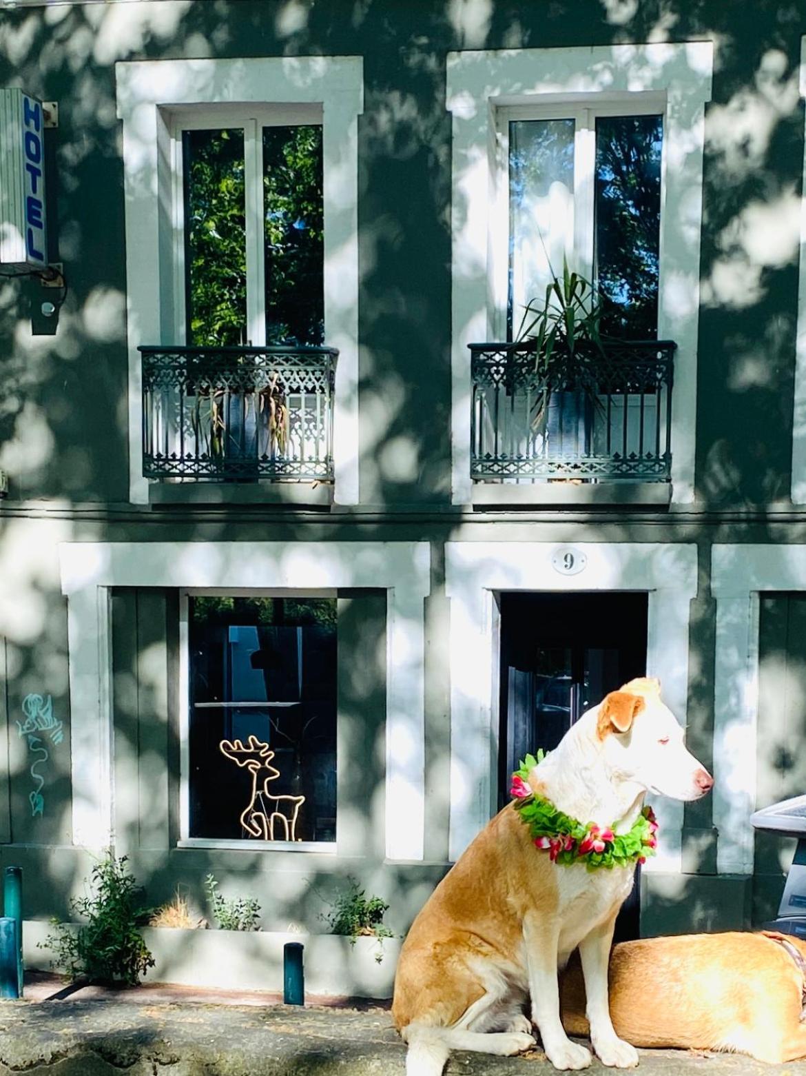 Superbe Grande Maison - Amis - Familles - Entreprises Тулуза Екстер'єр фото